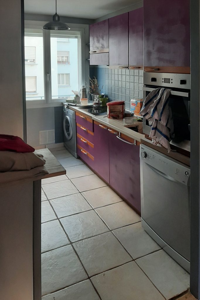 Agencement-actualité-appartement-cuisine-lyon-avant (3)